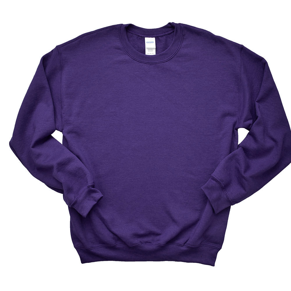 Custom Sweatshirt ~ Apachi Day Camp