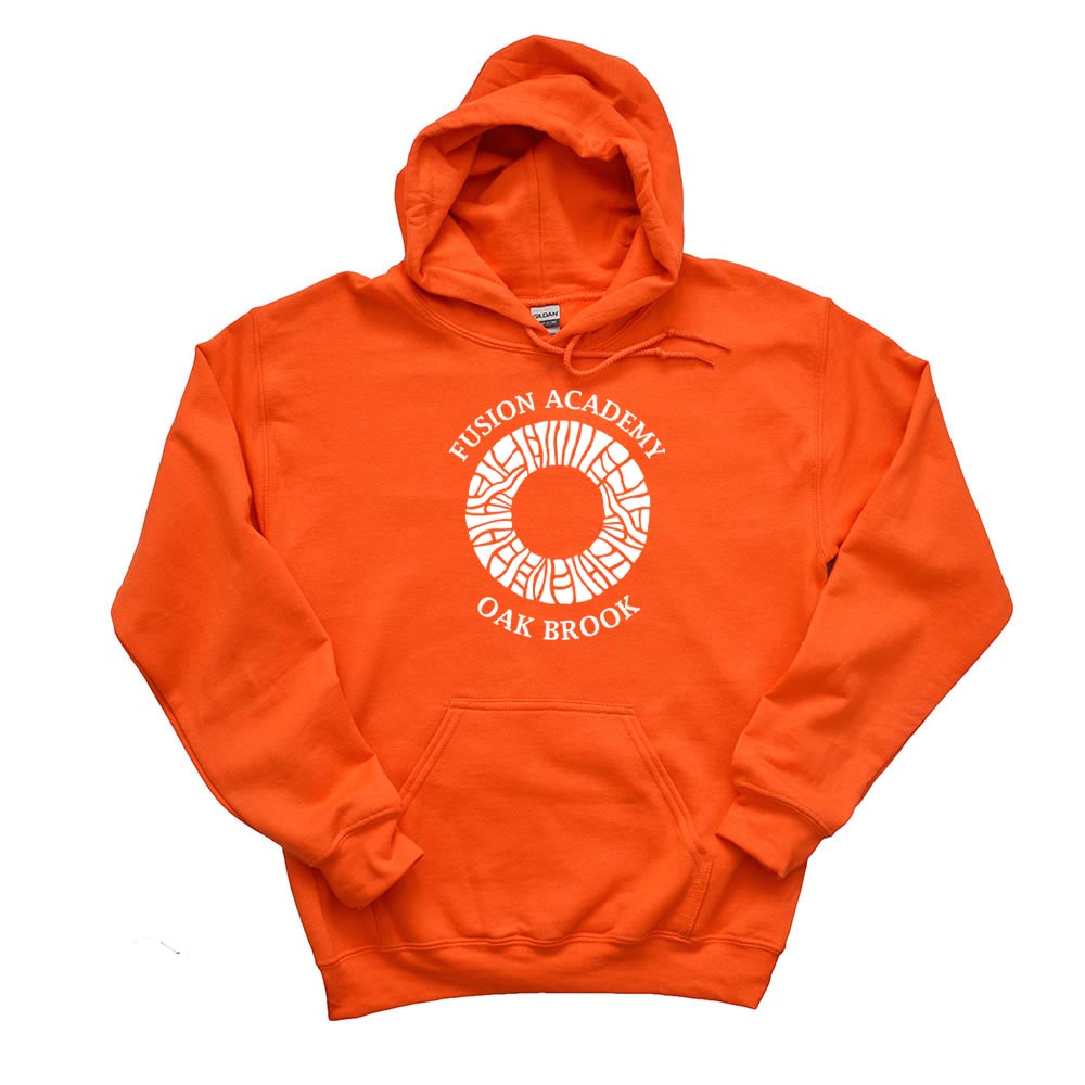 MOSAIC ARC HOODIE ~ FUSION ACADEMY OAK BROOK ~ youth & adult ~ classic unisex fit