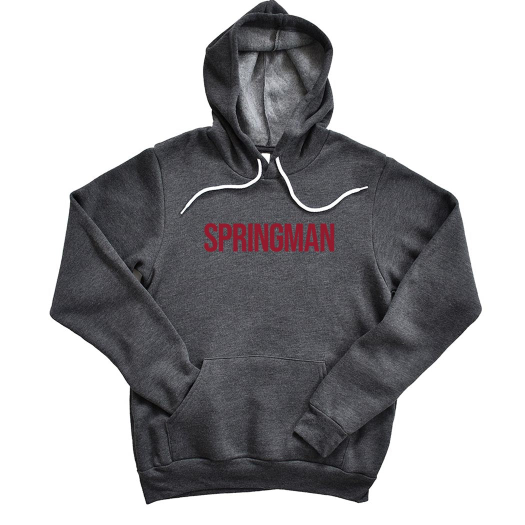 Modern ~ Sponge Fleece Hoodie ~ Springman Middle School