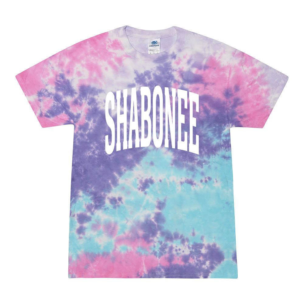 Extended Arc ~ Tie-Dye T-Shirt ~ Shabonee Elementary School