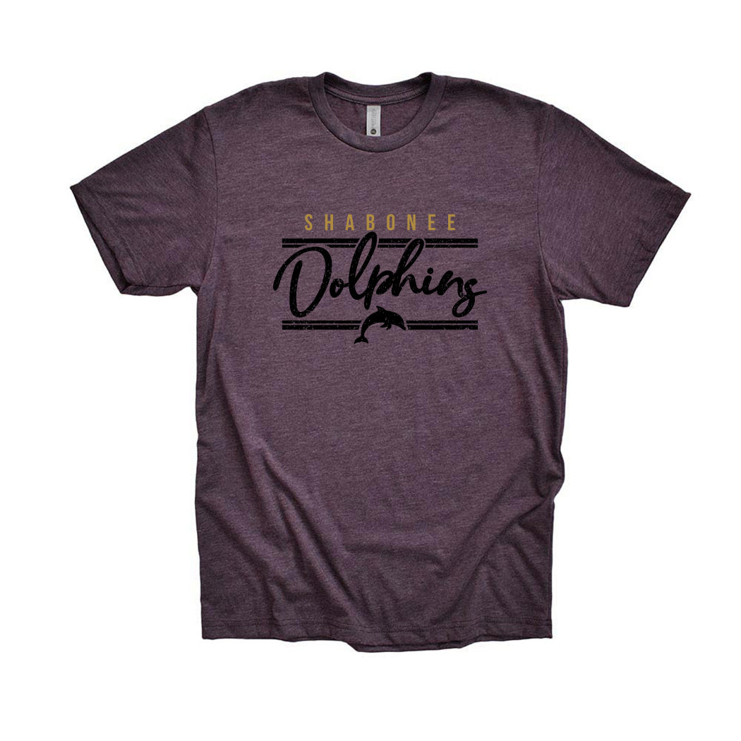 Dolphins Arc ~ Triblend T-Shirt ~ Shabonee Elementary School Staff