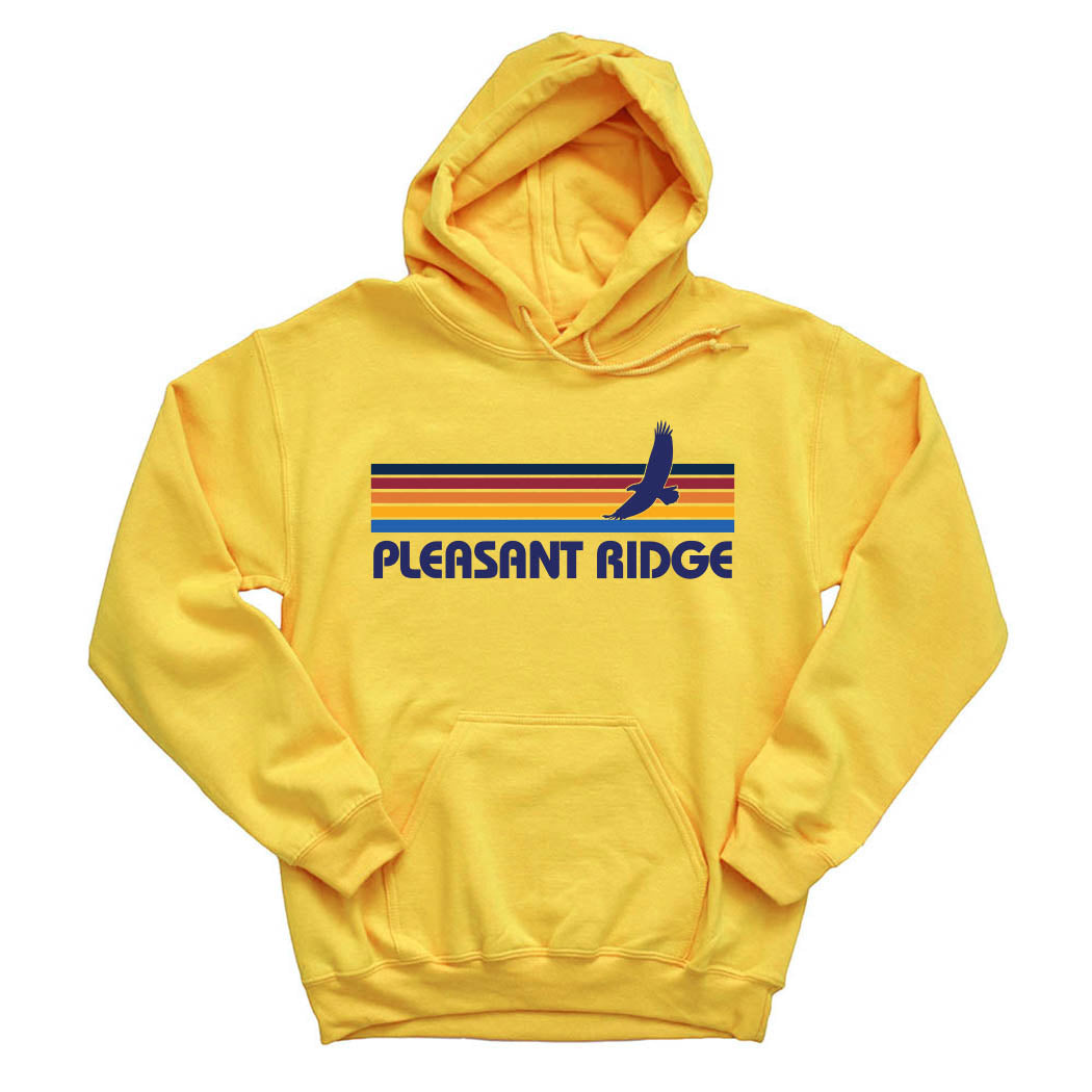 Sunset Stripes ~ Hoodie ~ Pleasant Ridge Elementary School