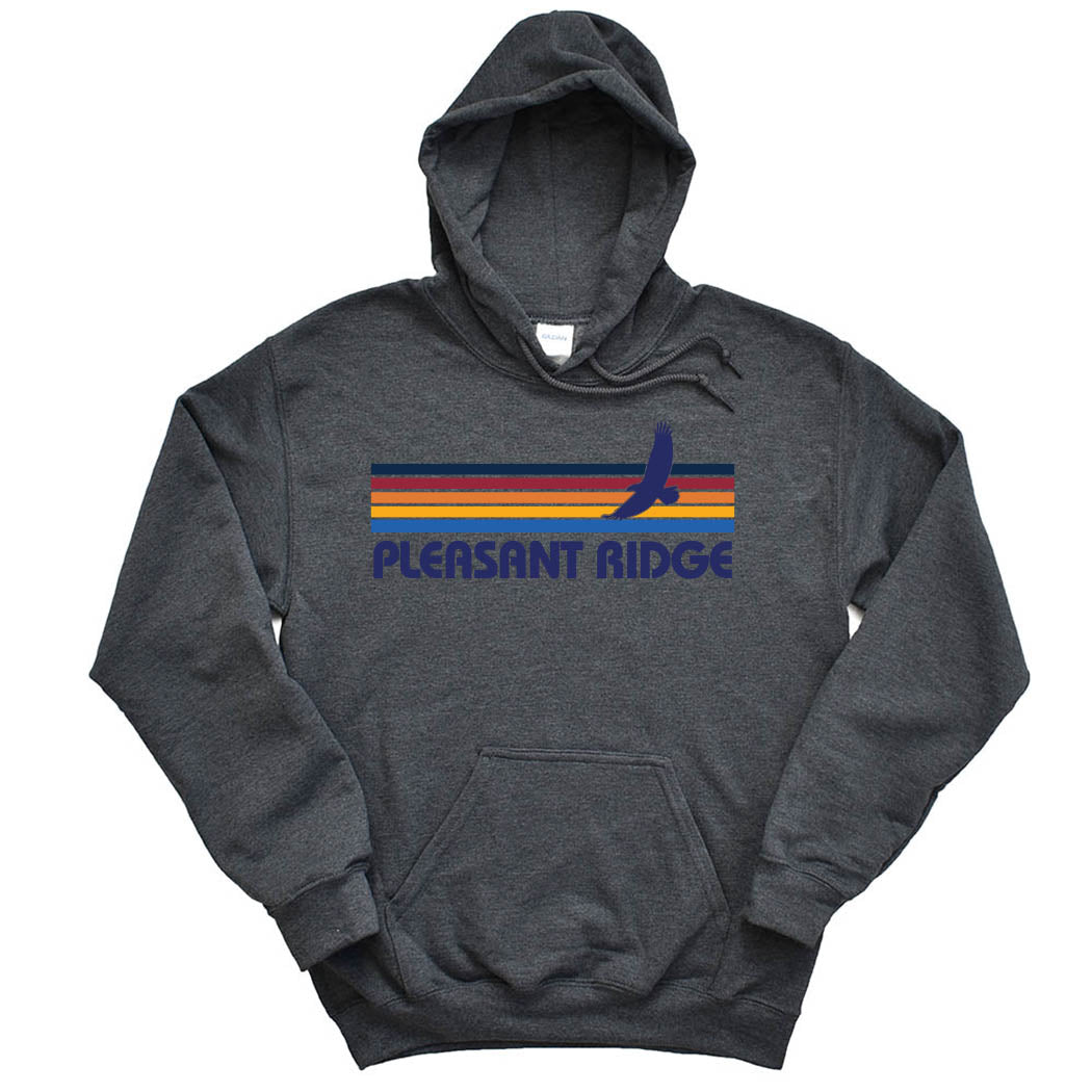 Sunset Stripes ~ Hoodie ~ Pleasant Ridge Elementary School