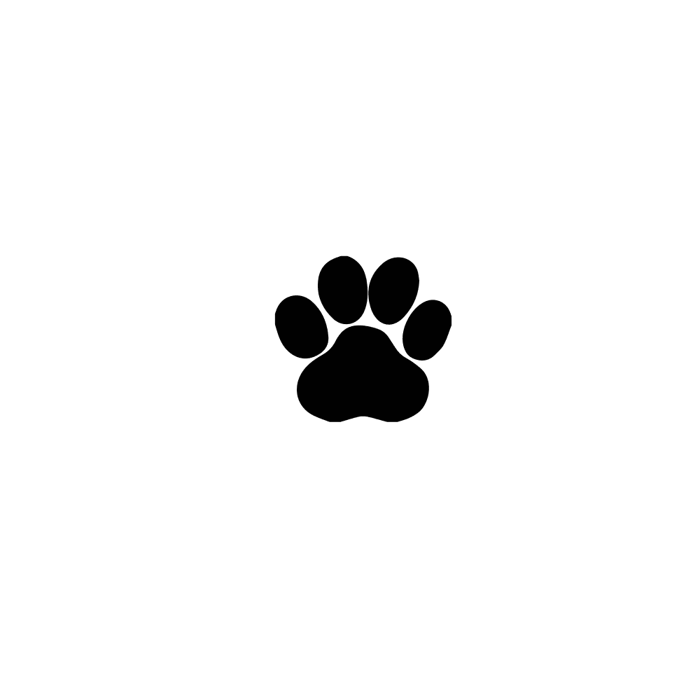 DESIGN: BLACK PAW