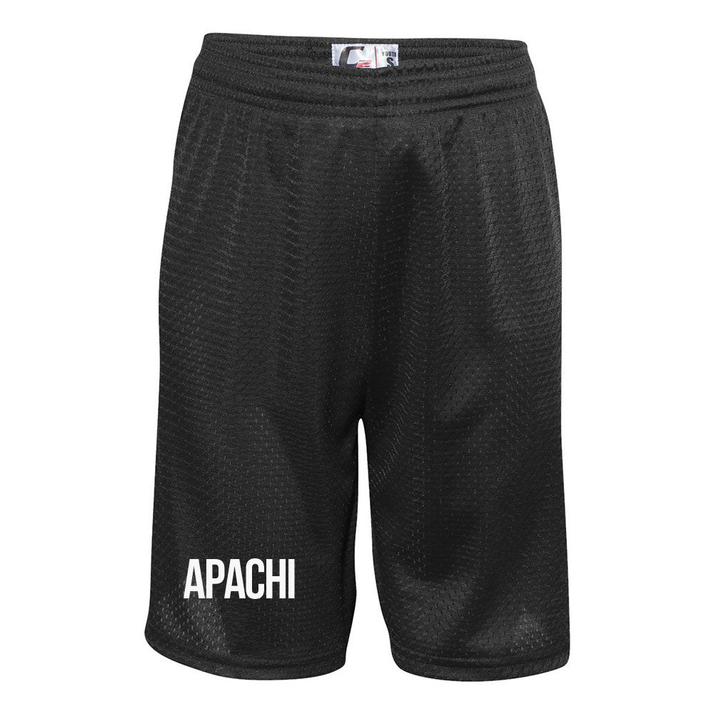 APACHI MESH SHORTS ~ APACHI DAY CAMP ~ adult ~ classic fit