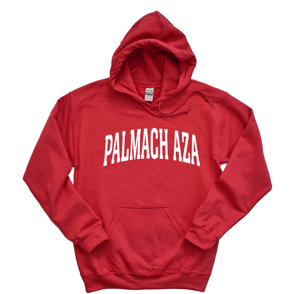 BBYO PALMACH OVERSIZED ARC - HOODED SWEATSHIRT - CLASSIC FIT