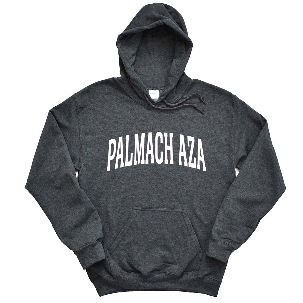 BBYO PALMACH OVERSIZED ARC - HOODED SWEATSHIRT - CLASSIC FIT