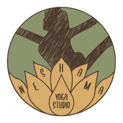 Neshama Yoga Studio