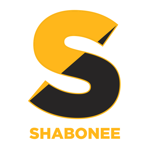 Shabonee Elementary School