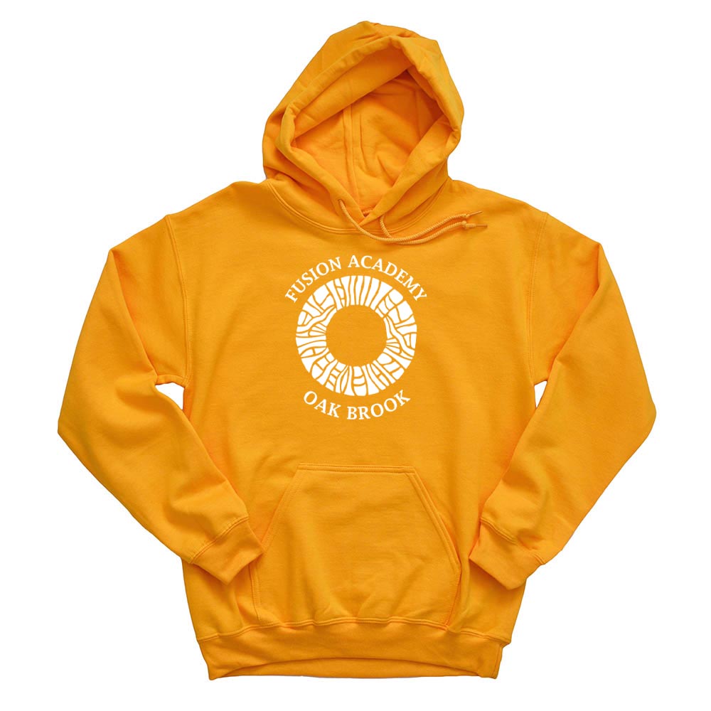 MOSAIC ARC HOODIE ~ FUSION ACADEMY OAK BROOK ~ youth & adult ~ classic fit