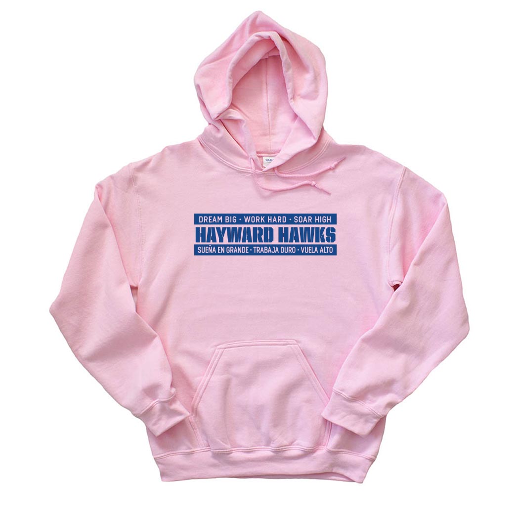 DREAM BIG HOODIE ~ HAYWARD ELEMENTARY ~ youth & adult ~ classic unisex fit