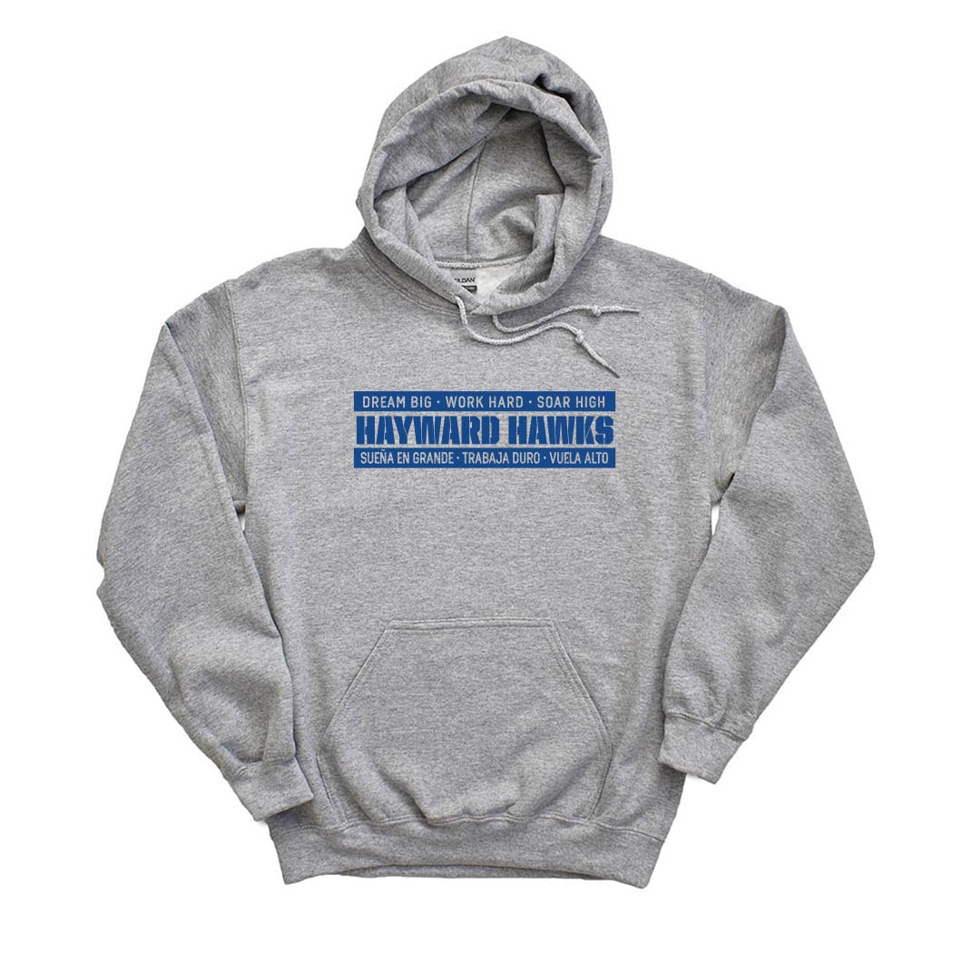 DREAM BIG HOODIE ~ HAYWARD ELEMENTARY ~ youth & adult ~ classic unisex fit