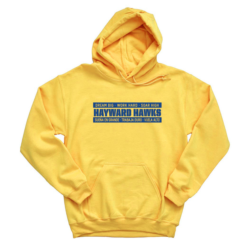 DREAM BIG HOODIE ~ HAYWARD ELEMENTARY ~ youth & adult ~ classic unisex fit