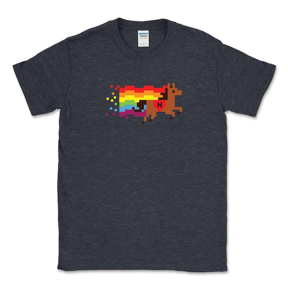 8 BIT PRIDE TEE ~ NETTELHORST SCHOOL ~ toddler, youth & adult ~ classic unisex fit