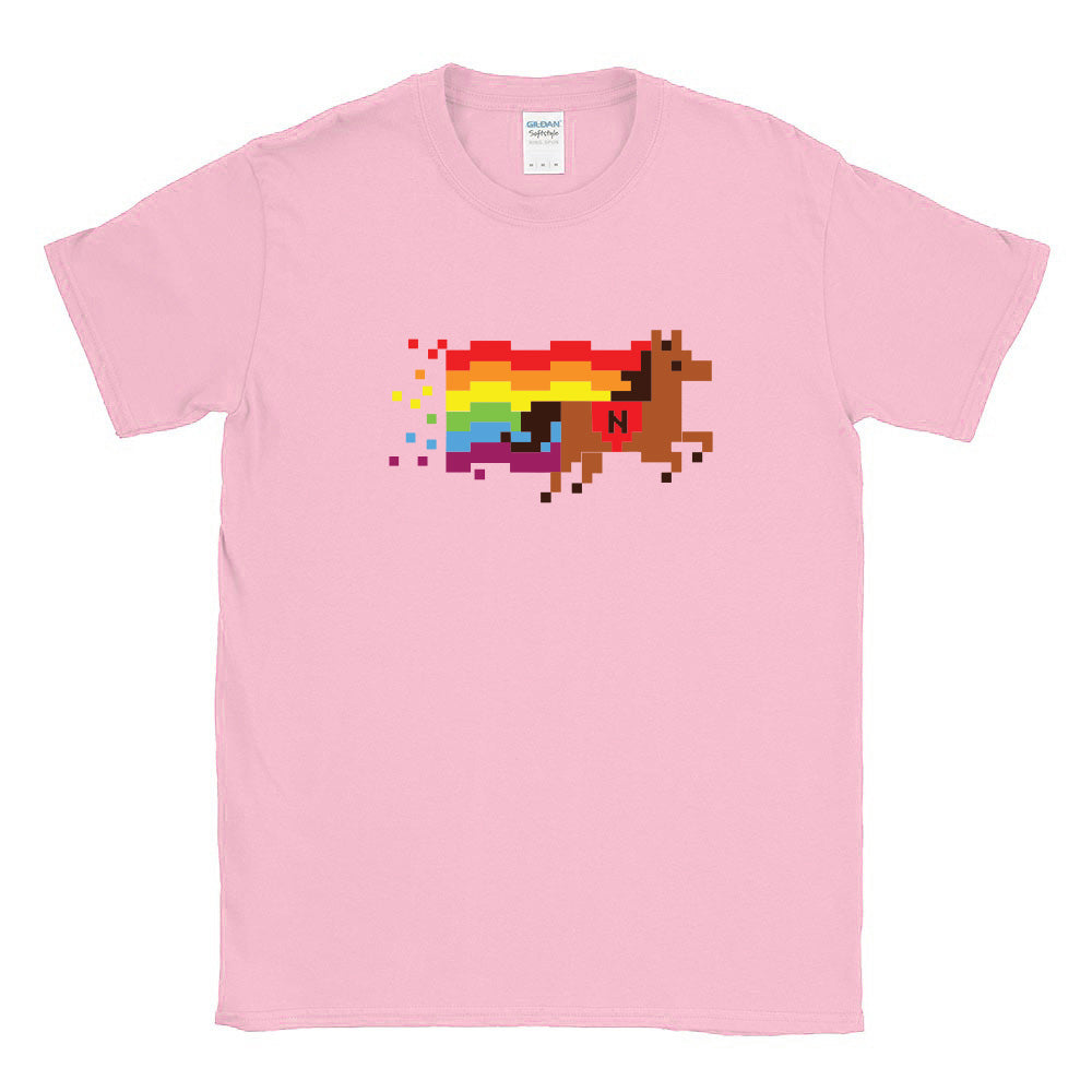 8 BIT PRIDE TEE ~ NETTELHORST SCHOOL ~ toddler, youth & adult ~ classic unisex fit