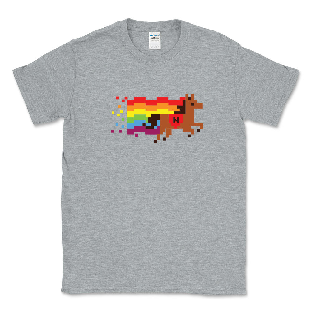 8 BIT PRIDE TEE ~ NETTELHORST SCHOOL ~ toddler, youth & adult ~ classic unisex fit