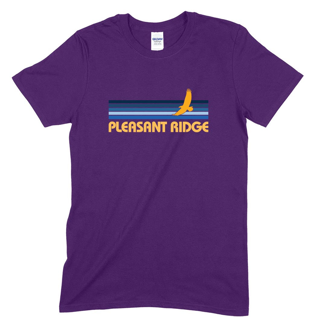 Sunset Stripes ~ Cotton Tee ~ Pleasant Ridge Elementary School