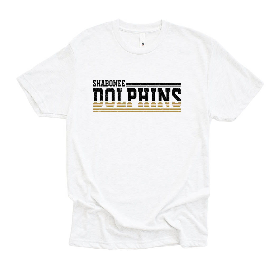 Dolphins Stripes ~ Triblend T-Shirt ~ Shabonee Elementary School Staff