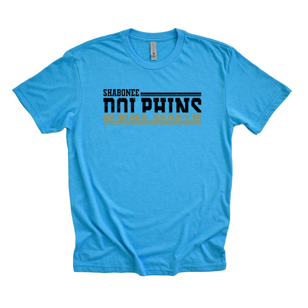 Dolphins Stripes ~ Triblend T-Shirt ~ Shabonee Elementary School Staff