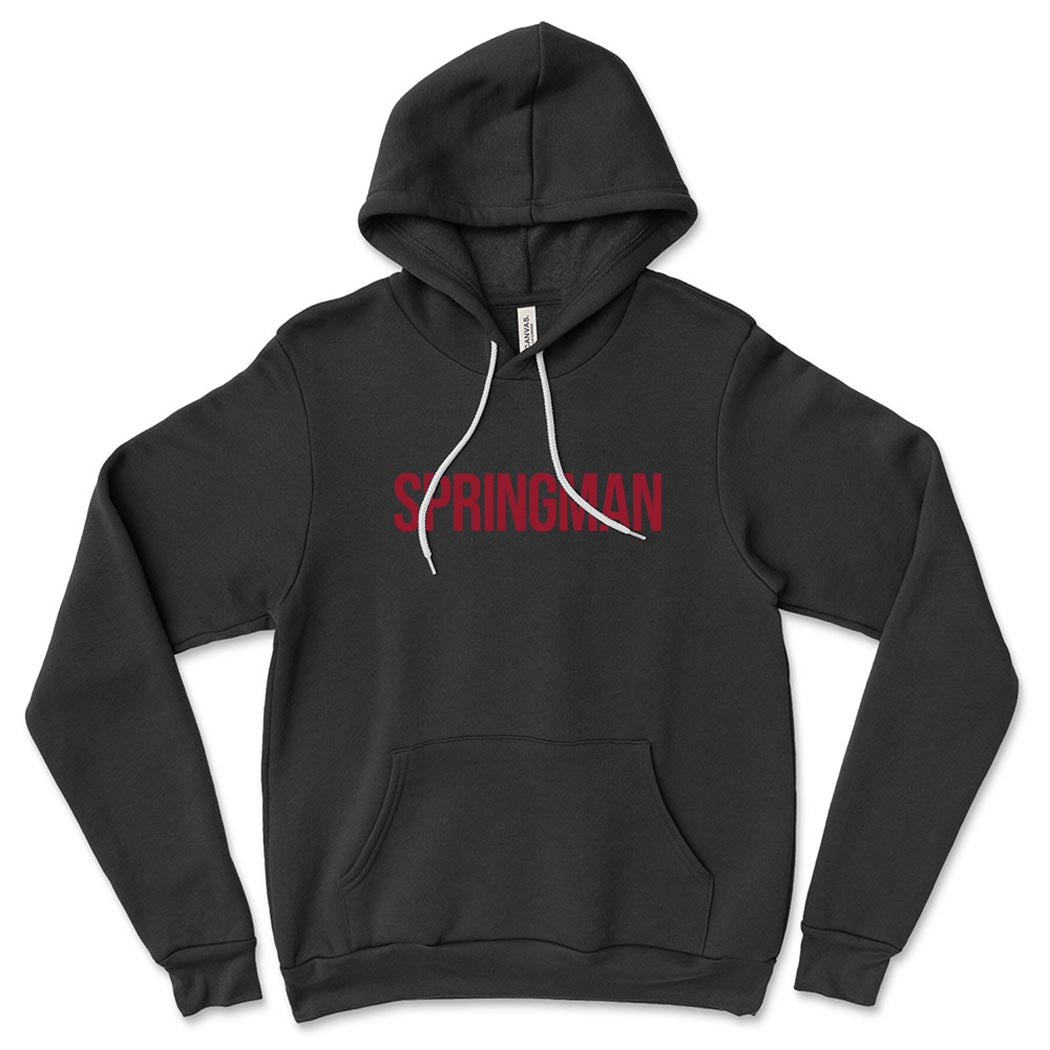 Modern ~ Sponge Fleece Hoodie ~ Springman Middle School