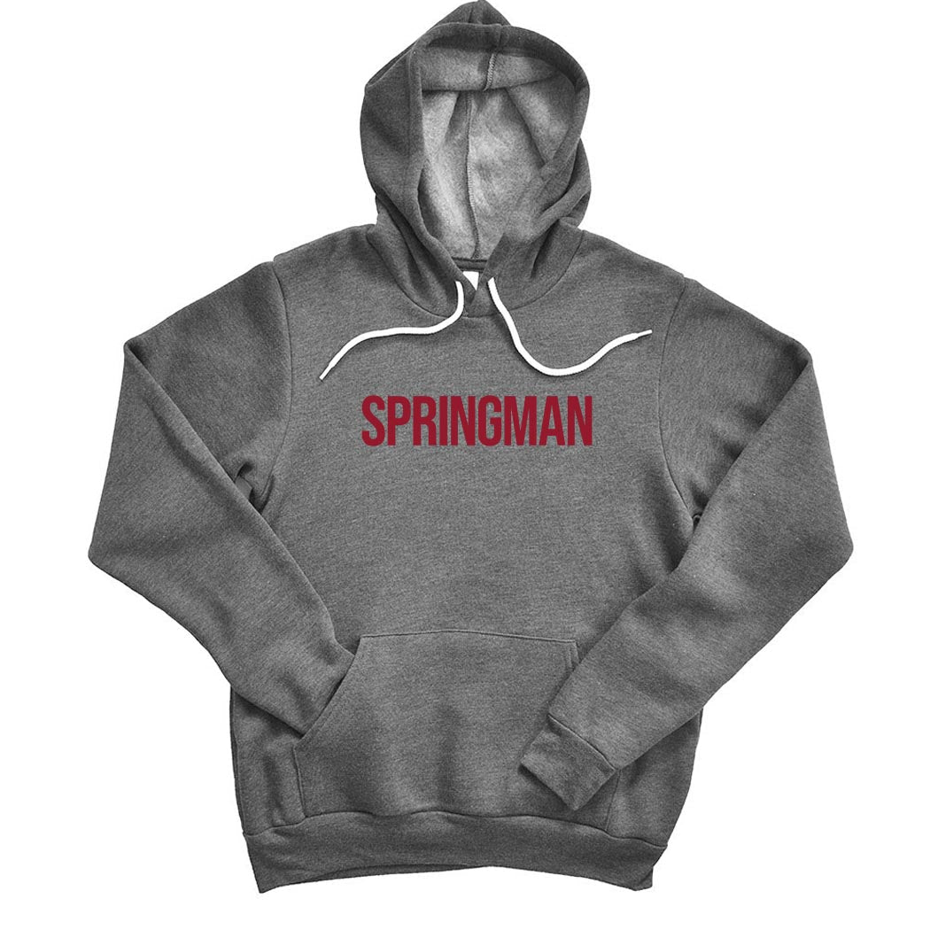 Modern ~ Sponge Fleece Hoodie ~ Springman Middle School
