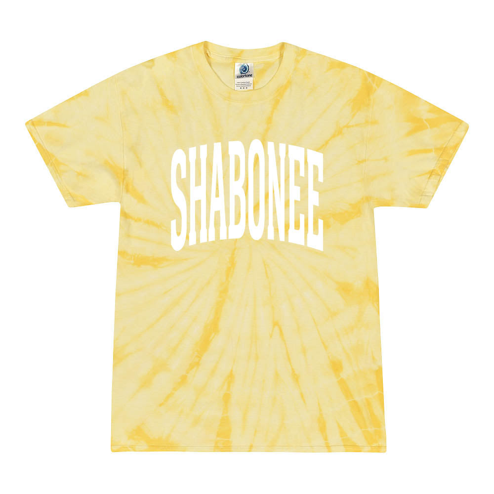 Extended Arc ~ Tie-Dye T-Shirt ~ Shabonee Elementary School