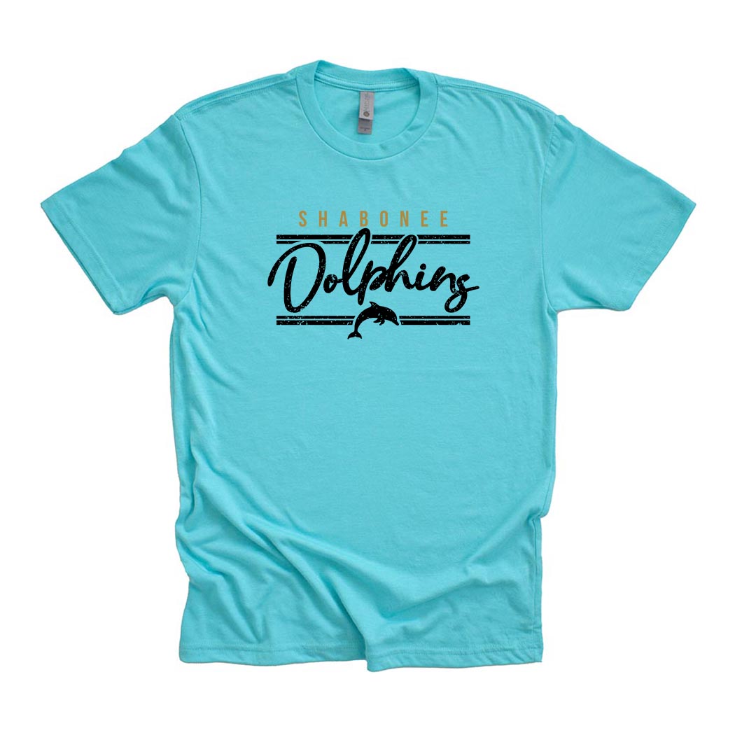 Dolphins Arc ~ Triblend T-Shirt ~ Shabonee Elementary School Staff
