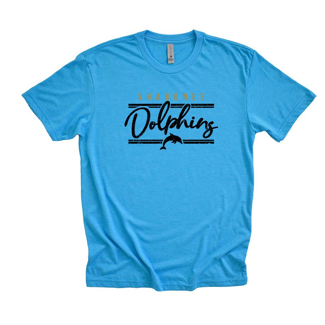 Dolphins Arc ~ Triblend T-Shirt ~ Shabonee Elementary School Staff