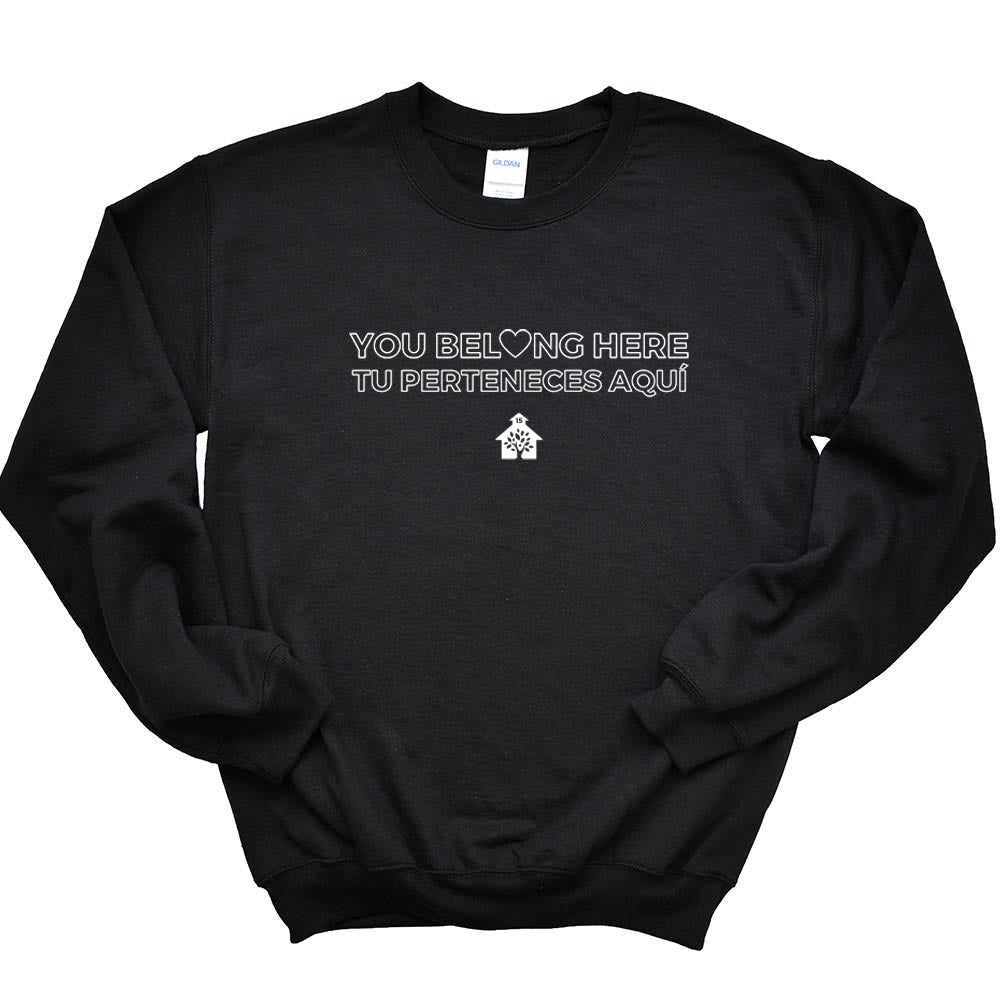 YOU BELONG HERE SWEATSHIRT ~ DISTRICT 15 ~ adult ~ classic unisex fit