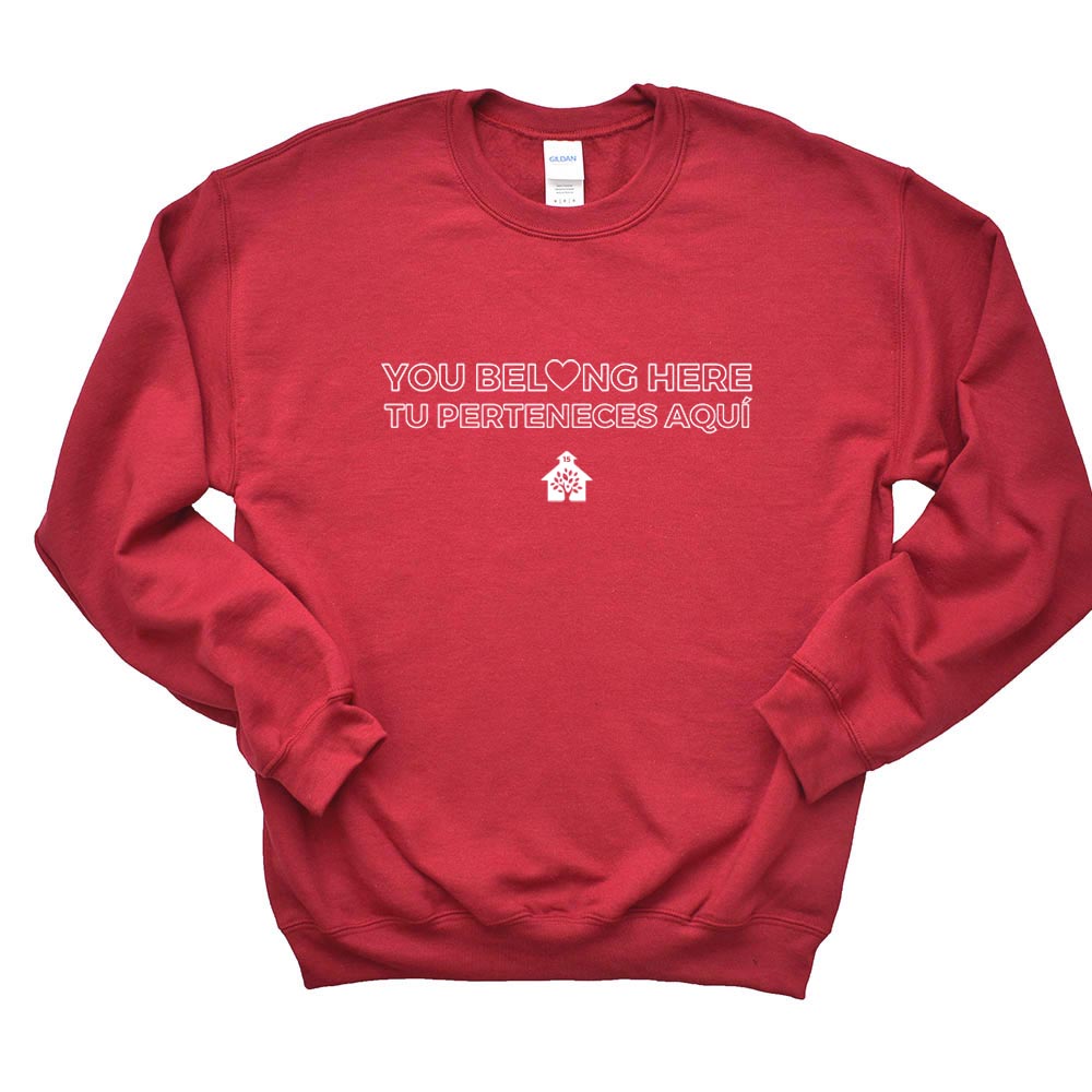 YOU BELONG HERE SWEATSHIRT ~ DISTRICT 15 ~ adult ~ classic unisex fit