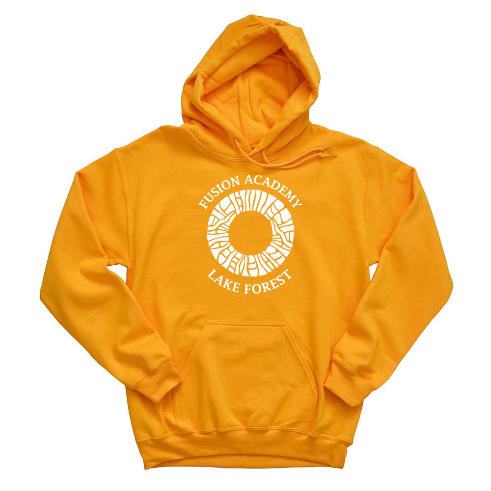 MOSAIC ARC UNISEX HOODIE ~ FUSION ACADEMY LAKE FOREST ~ classic fit