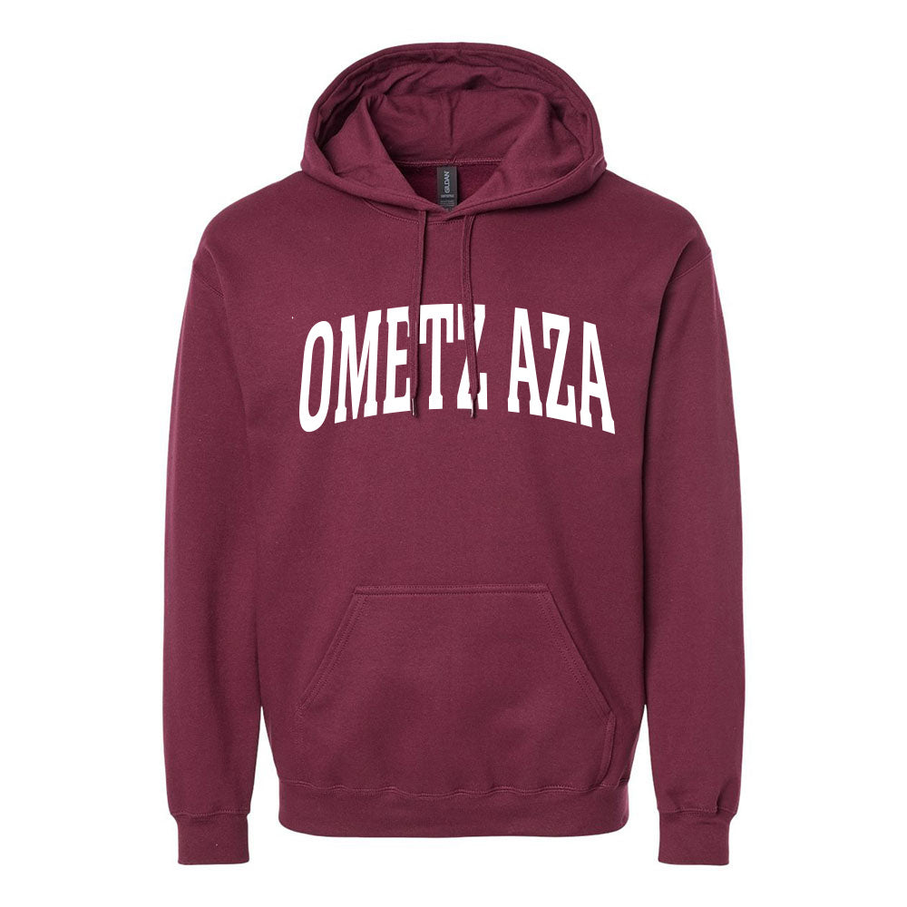 Ometz-BBYO-Great-Midwest-Region-AZA-charity-military-green-hoodie